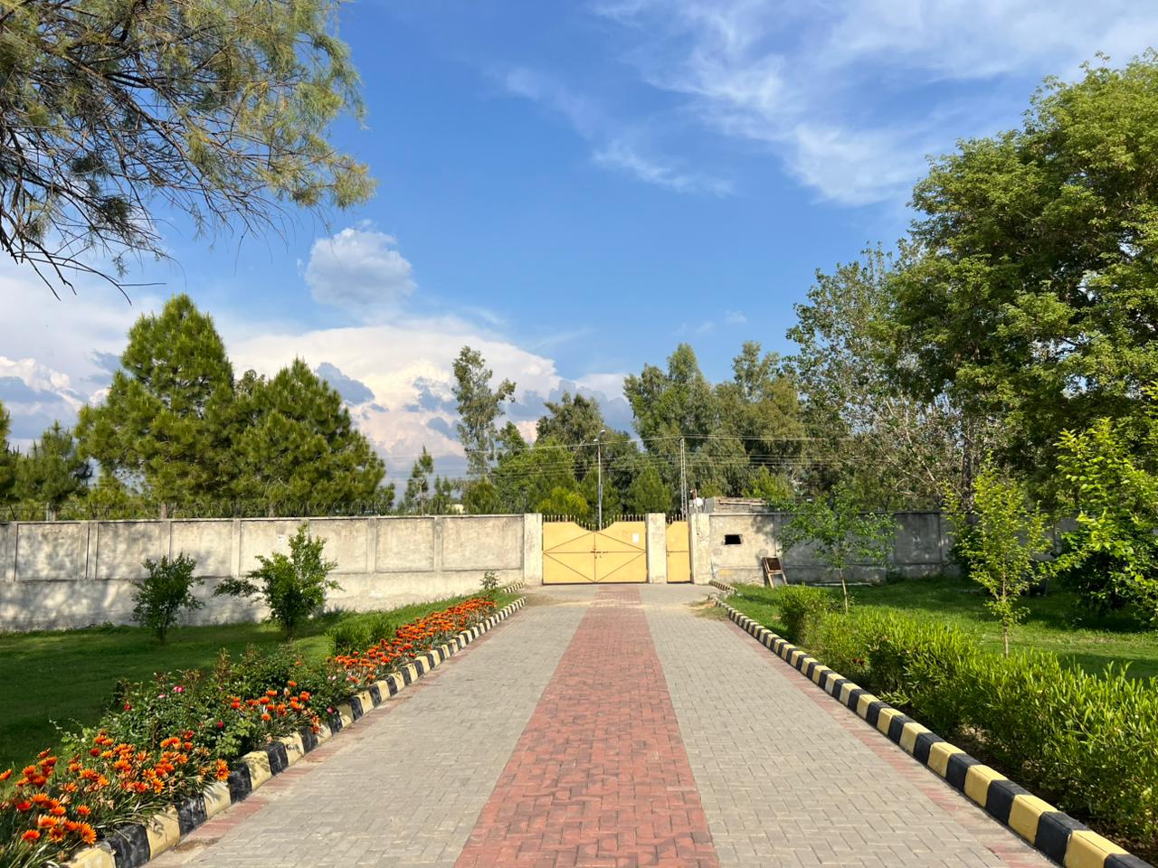 Girls Hostel
